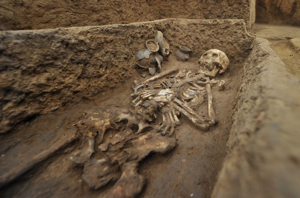 scheletro e resti umani